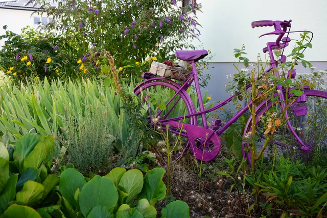 Naturgarten und pinkes Fahrrad